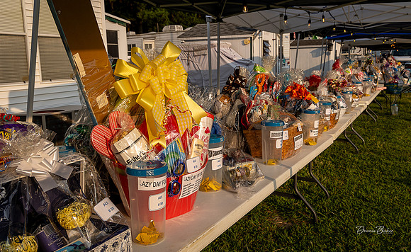 2024_ALS_Benefit_001