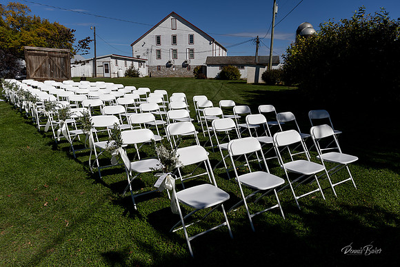 Wedding_350