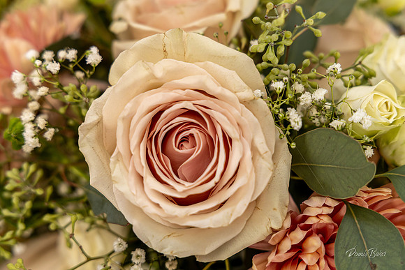 Wedding_004
