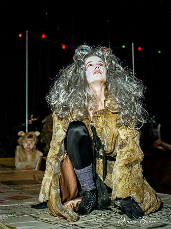 Cats_MAIS_1988_012