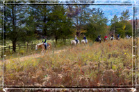 Gettysburg Battlefield_101