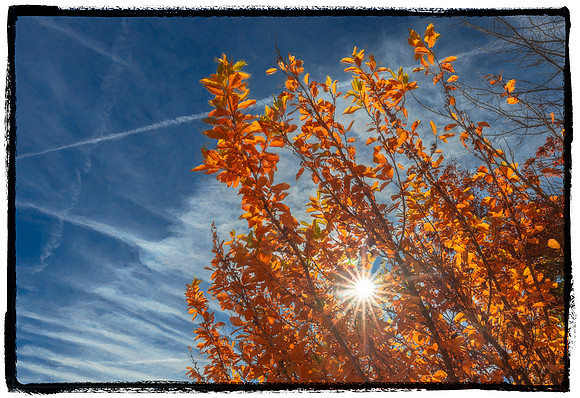 PGFSP_215-HDR