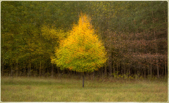 The Bower_404