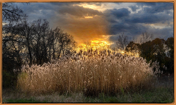 Landscapes_Field Near House_223-HDR-2