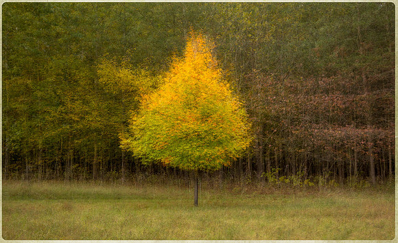 The Bower_404
