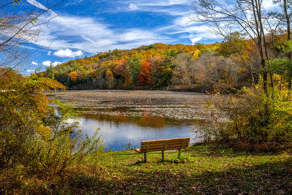 PGFSP_293-HDR