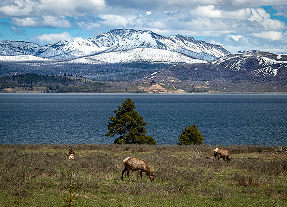 028_Yellowstone_0926