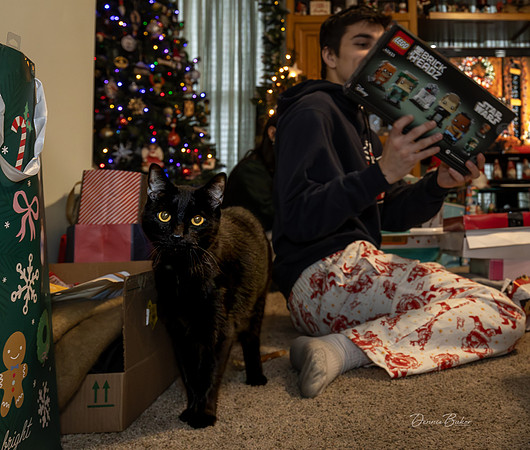 Christmas_2025_Mike-Beth_093