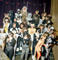 Cats_MAIS_1988_002