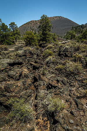West_886