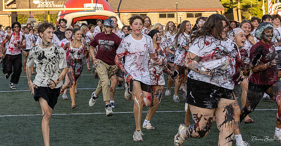 MAHS Fb v CD_309
