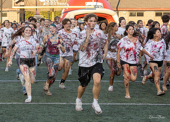 MAHS Fb v CD_330