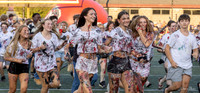 MAHS Fb v CD_399