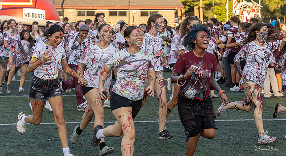 MAHS Fb v CD_375