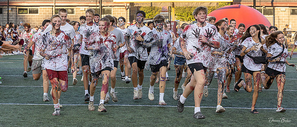 MAHS Fb v CD_433