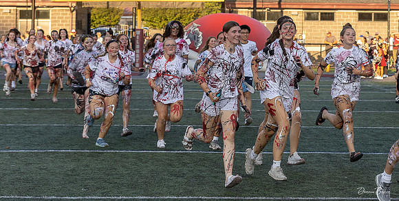 MAHS Fb v CD_461