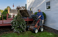 untitled_081