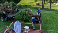 untitled_173