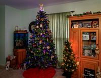 Christmas_001