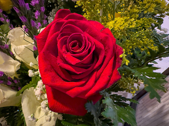 Day_26_46