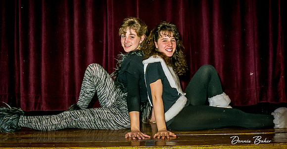 Cats_MAIS_1988_021