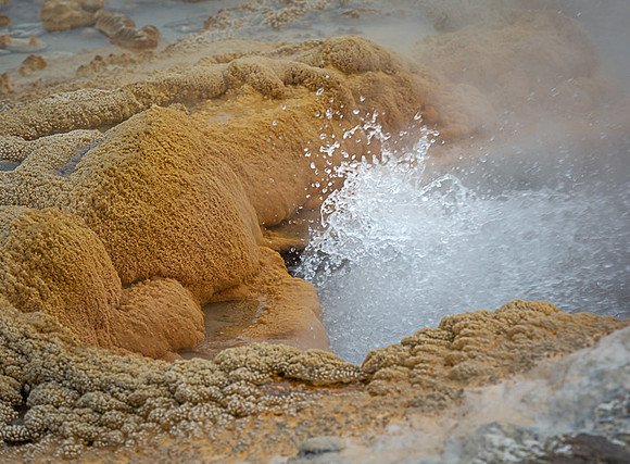039_Yellowstone_6783