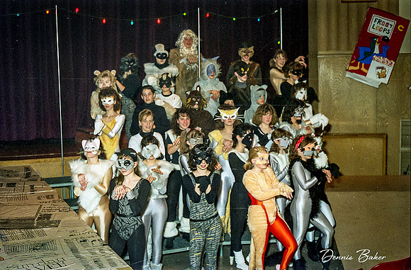 Cats_MAIS_1988_001