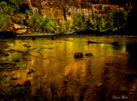 Zion National Park - Springdale
