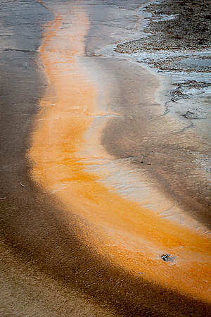 041_Yellowstone_6793