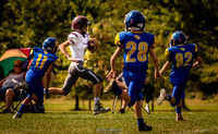 Wildcats_2017_9_24_025
