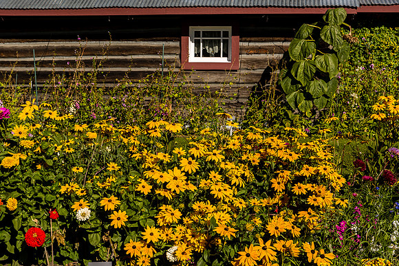 Alaska_CA_9_2016_1224