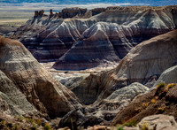 Painted Desert, Petrified Forest