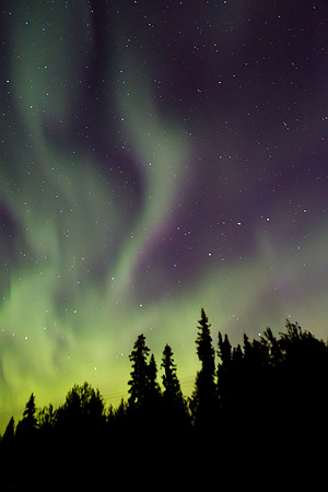Alaska_CA_9_2016_1121