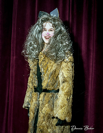 Cats_MAIS_1988_022