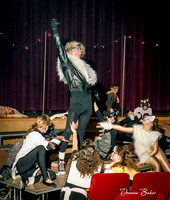 Cats_MAIS_1988_005