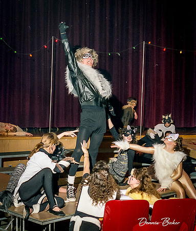Cats_MAIS_1988_005