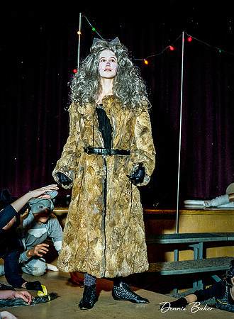 Cats_MAIS_1988_011