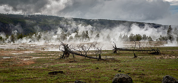 030_Yellowstone_6645