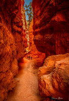 Bryce Canyon National Park