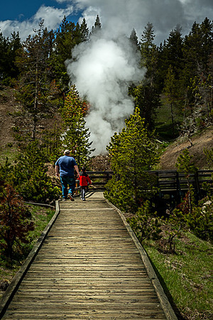 021_Yellowstone_6631