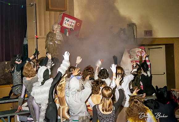 Cats_MAIS_1988_013
