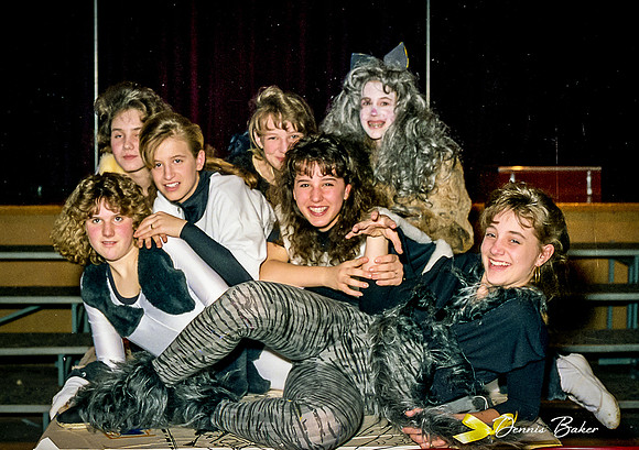 Cats_MAIS_1988_019