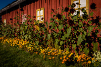 Alaska_CA_9_2016_1348