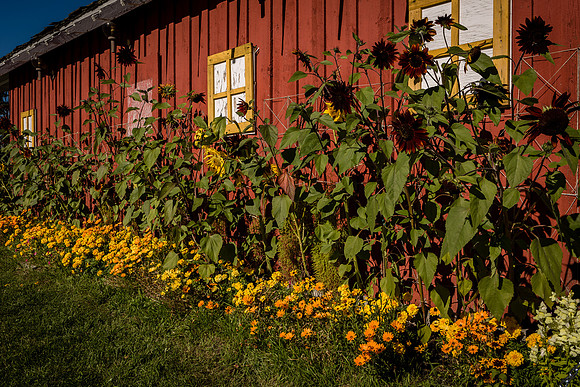Alaska_CA_9_2016_1348