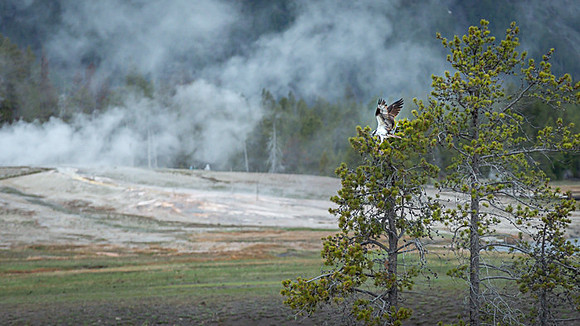 052_Yellowstone_