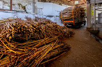 Day_103_519-HDR