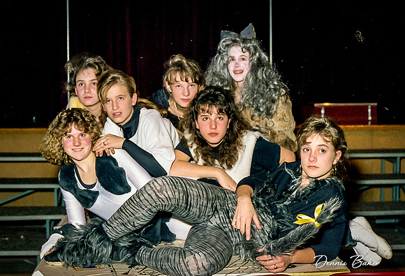 Cats_MAIS_1988_018