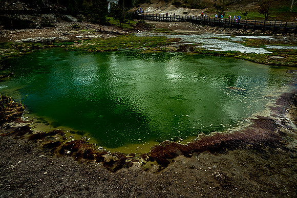 019_Yellowstone_6624