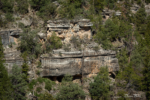 West_835