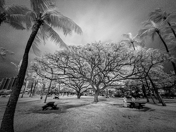 Day_21_149